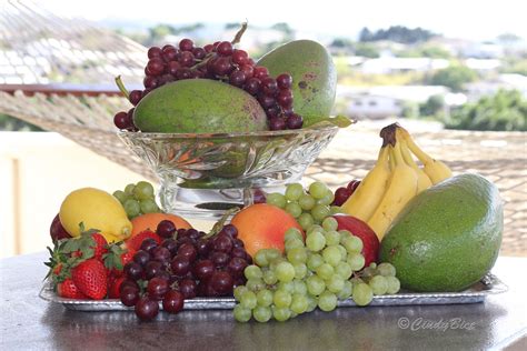 fruitfulness .